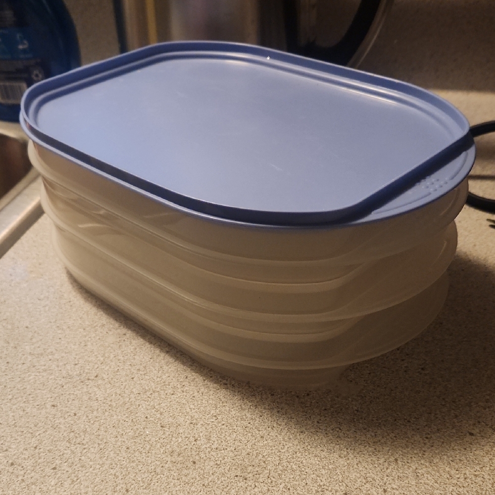 Stackable Blue and White Food Storage Containers